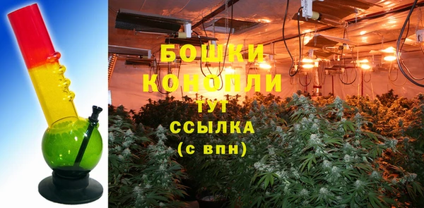 амф Бородино
