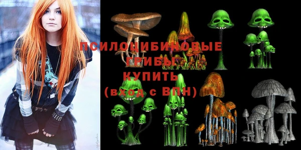 марки lsd Бугульма