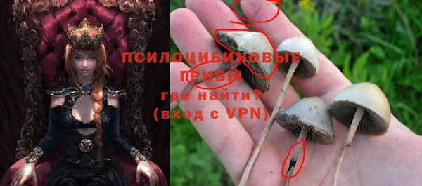 соль курить ск Бронницы